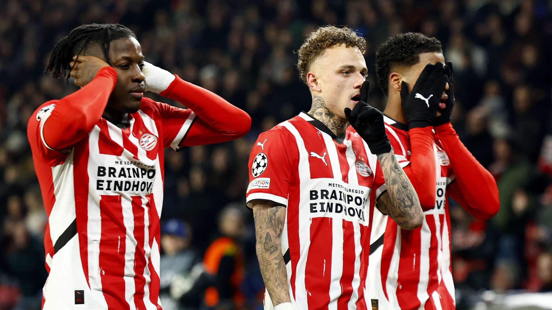 教练组的精 教练组的精